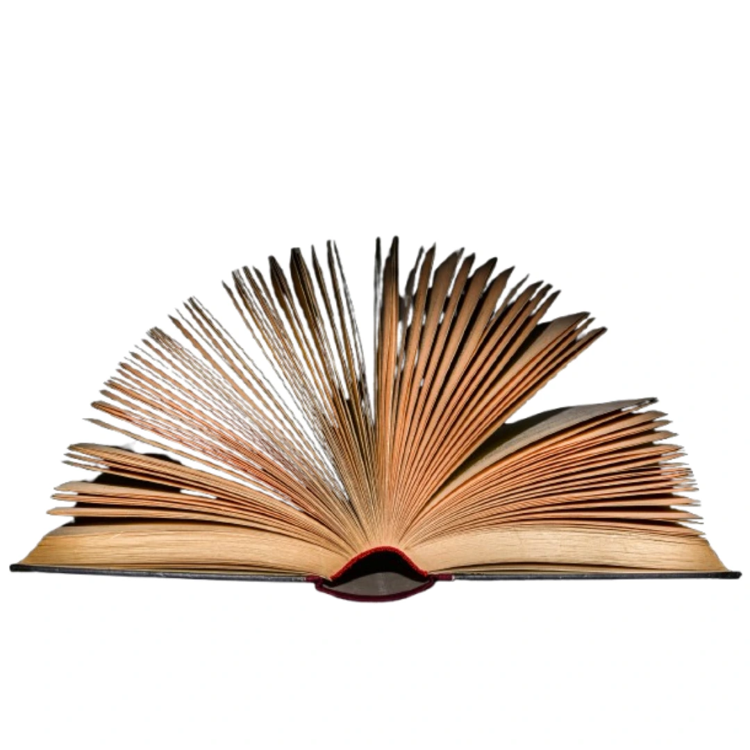 O poder da literatura no cérebro
